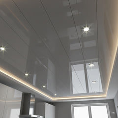 Grey Glossy Ceiling Panel