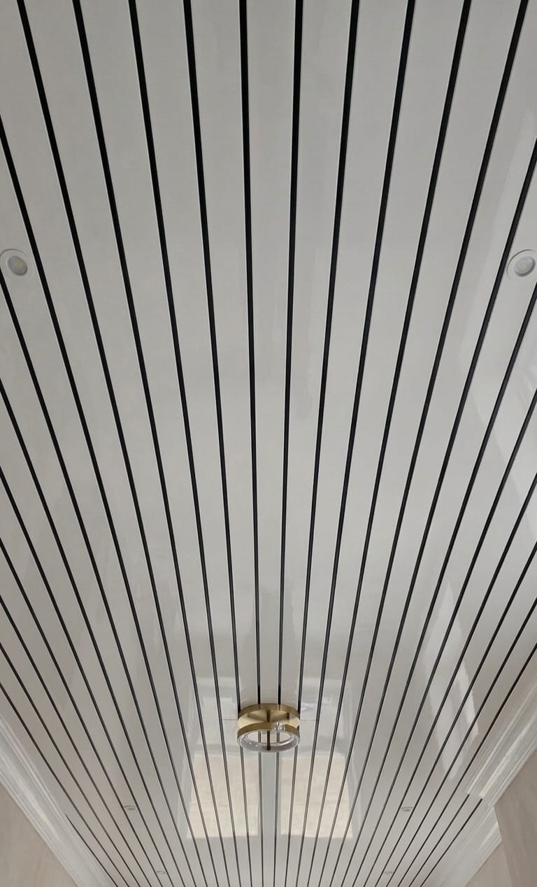 White With Black Lines Ceiling Panel