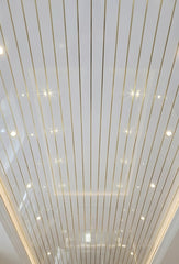 White With Gold Line Ceiling Panel