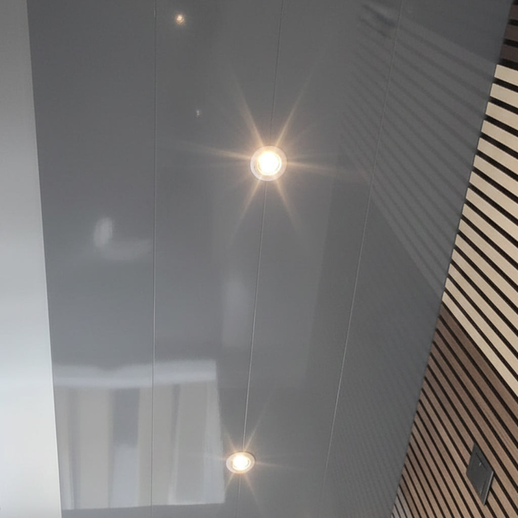 Grey Glossy Ceiling Cladding