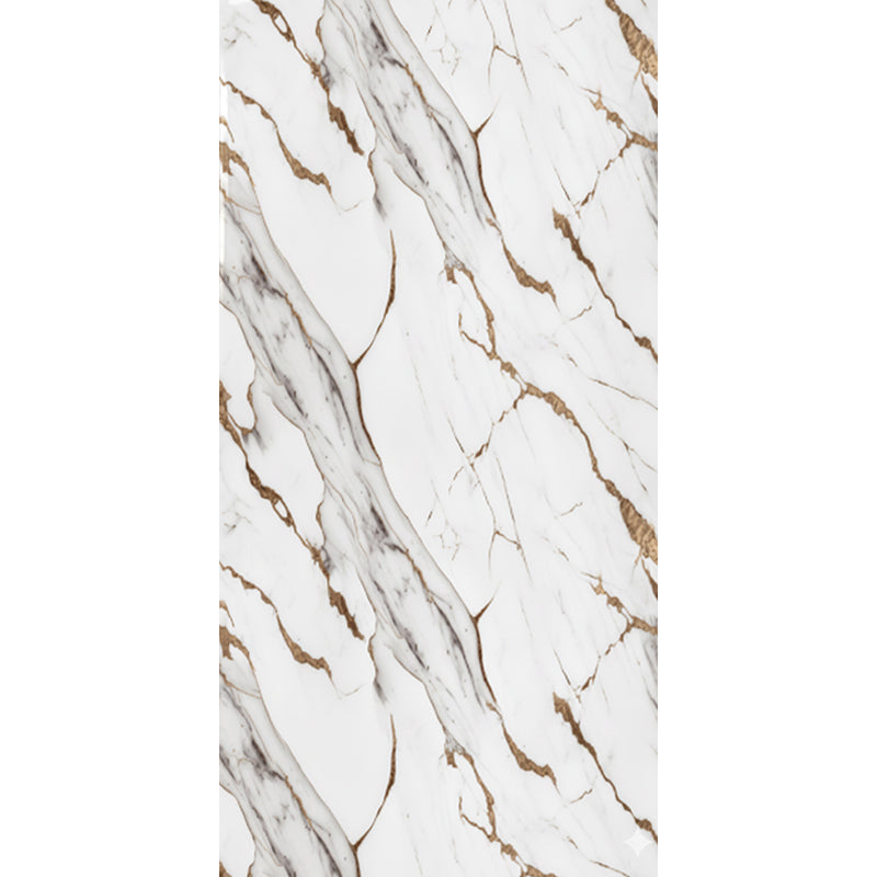 Orian Gold Gloss PVC Shower Wall Panel 