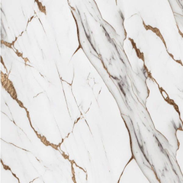 Orian Gold Gloss PVC Shower Wall Panel 