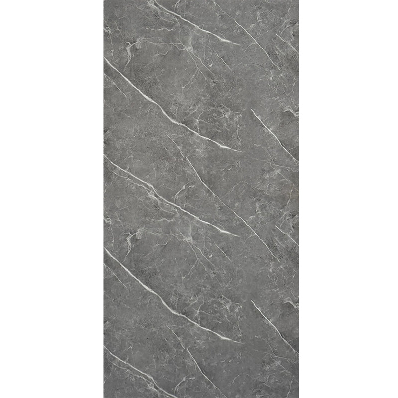 Pieta Anthracite Gloss Wall Panel
